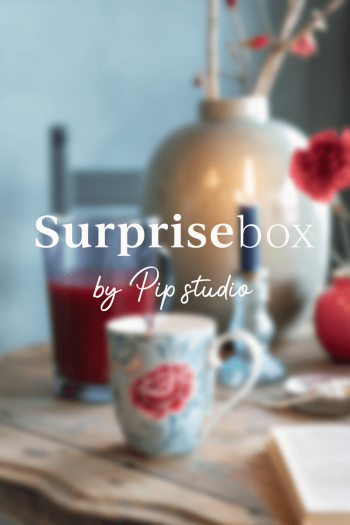 suprisebox-by-pip-studio