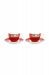 cappuccino-cup-&-saucer-set-of-2-red-botanical-print-blushing-birds-pip-studio-280-ml