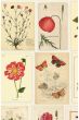 fotobehang-vliesbehang-bloemen-multicolour-pip-studio-botanical-lan