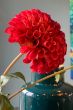 Artificial-flowers-red-silk-flirting-colours-pip-flowers-pip-studio