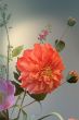 Pip Blumen Rose Delight