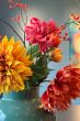 Cheerful Dahlia Pip Flowers