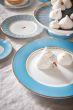 pastry-plate-love-birds-in-blue-with-bird-17-cm