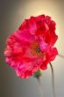 artifical-flowers-silk-multicoloured-home-decor-Pip-Flowers-poppy-joy