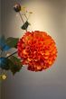 Künstliche-blumen-mehrfarbig-wohnkultur-wohn-accessoires-pip-flowers-tokyo-bouquet