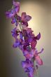 kunstbloemen-zijde-meerkleurig-woon-decoratie-Pip-Flowers-Tokyo-Bouquet