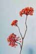 Pip-Studio-Artificial-Flowers-Winter-Embrace