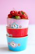 bowl-love-birds-in-pink-with-bird-15-cm