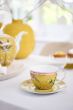 cup-&-saucer-la-majorelle-yellow-280-ml-dots-floral-porcelain-pip-studio