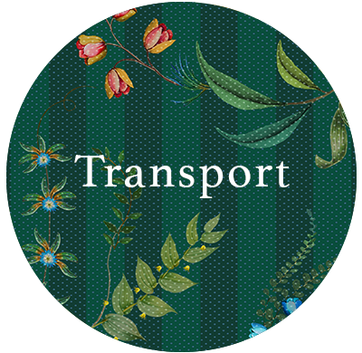 nachhaltigkeit-transport