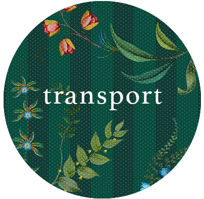 sustainability-transport